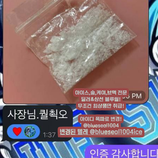 보안텔@blueseal1004ice